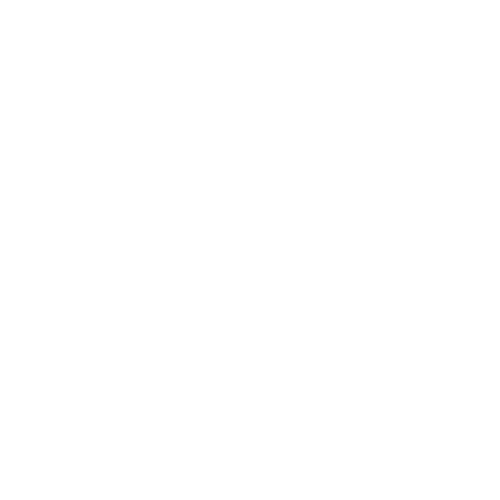 white lion