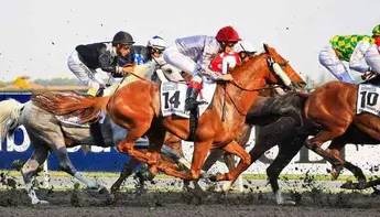 كأس دبي العالمي لسباقات الخيول