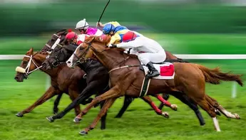 منشآت قطر لسباقات الخيل
